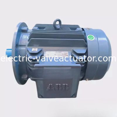 Καλή τιμή. M2QA200LB6 22KW 6-πολικός Τρι-Φάσης Ασύγχρονος Μηχανής IC411 Αυτοψύχωση σε απευθείας σύνδεση