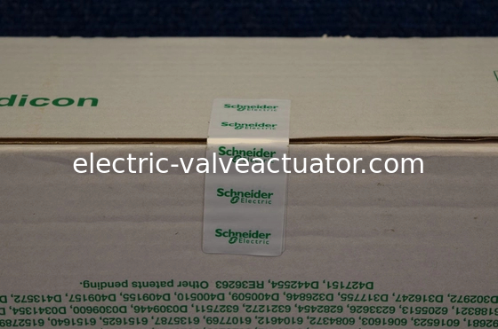 Καλή τιμή. Ενιαία αυλάκωση 80486 PLC/ΚΜΕ 140CPU65260C Modicon κβαντική επεξεργαστής με μαθηματικό σε απευθείας σύνδεση
